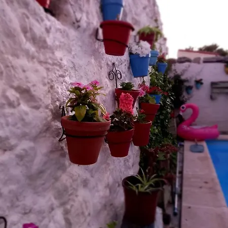 El Arroyo De La Plata * La Calzada de Béjar